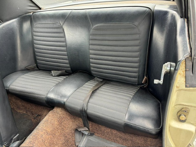 Ford Mustang - COUPE 289 CI V8 VERTE CODE C 1966